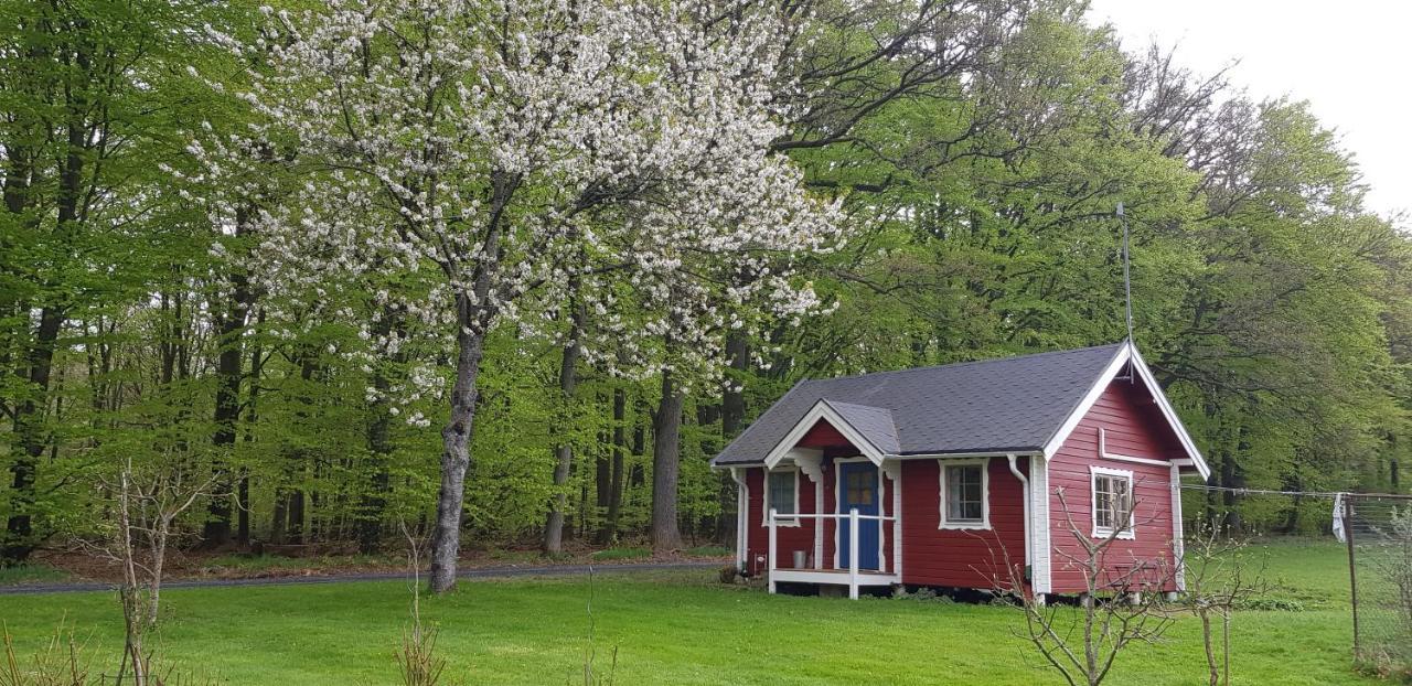 Lill Hagahus, Soederasens Nationalpark Villa Kågeröd Eksteriør bilde