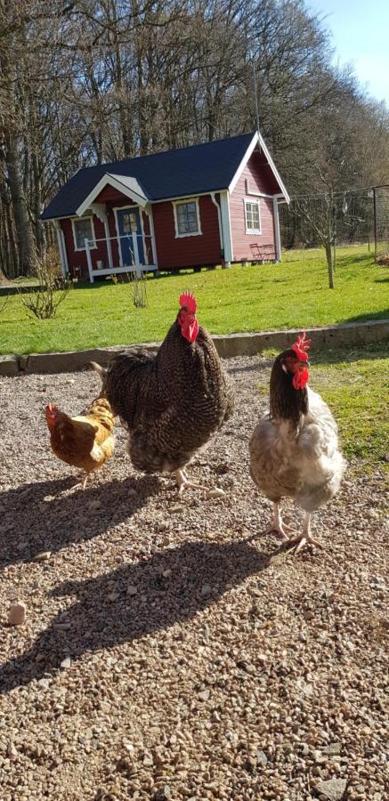 Lill Hagahus, Soederasens Nationalpark Villa Kågeröd Eksteriør bilde