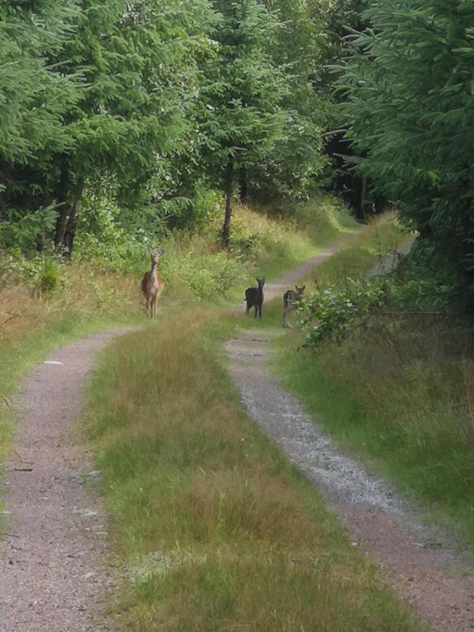 Lill Hagahus, Soederasens Nationalpark Villa Kågeröd Eksteriør bilde