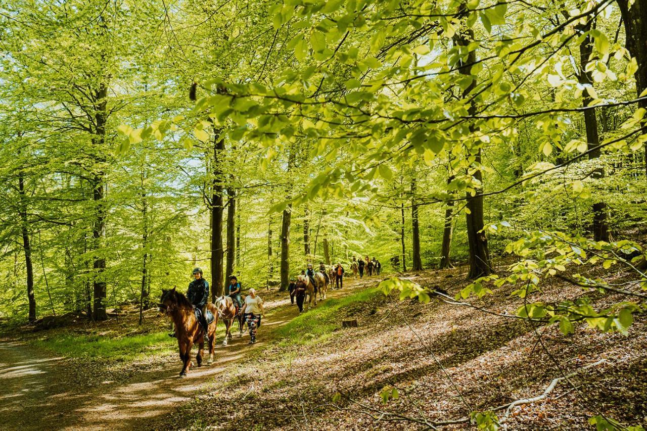 Lill Hagahus, Soederasens Nationalpark Villa Kågeröd Eksteriør bilde